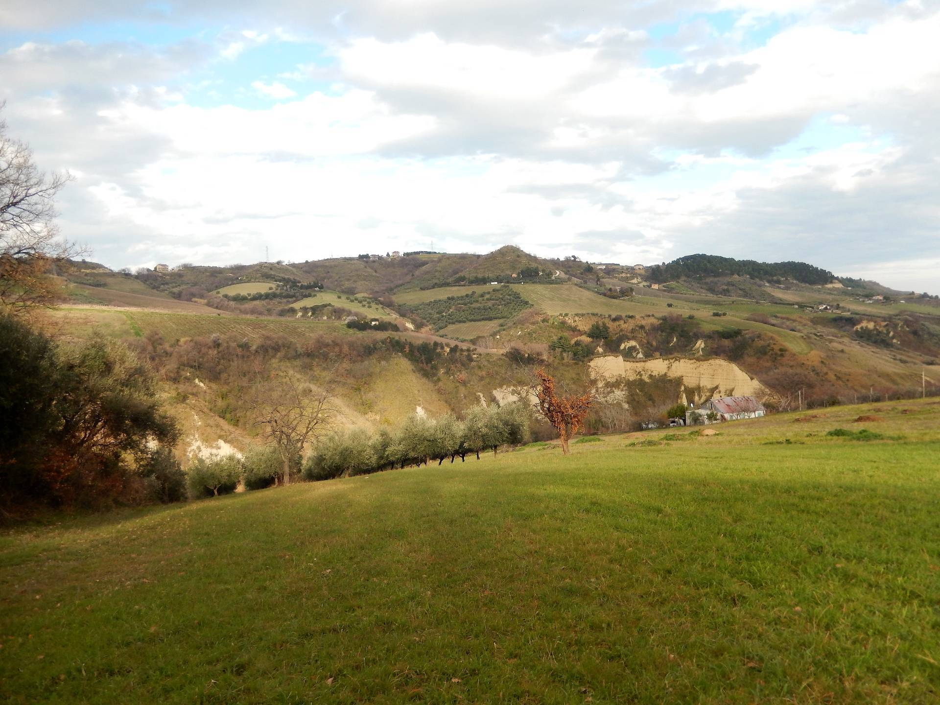 immagine annuncio 4 di 6