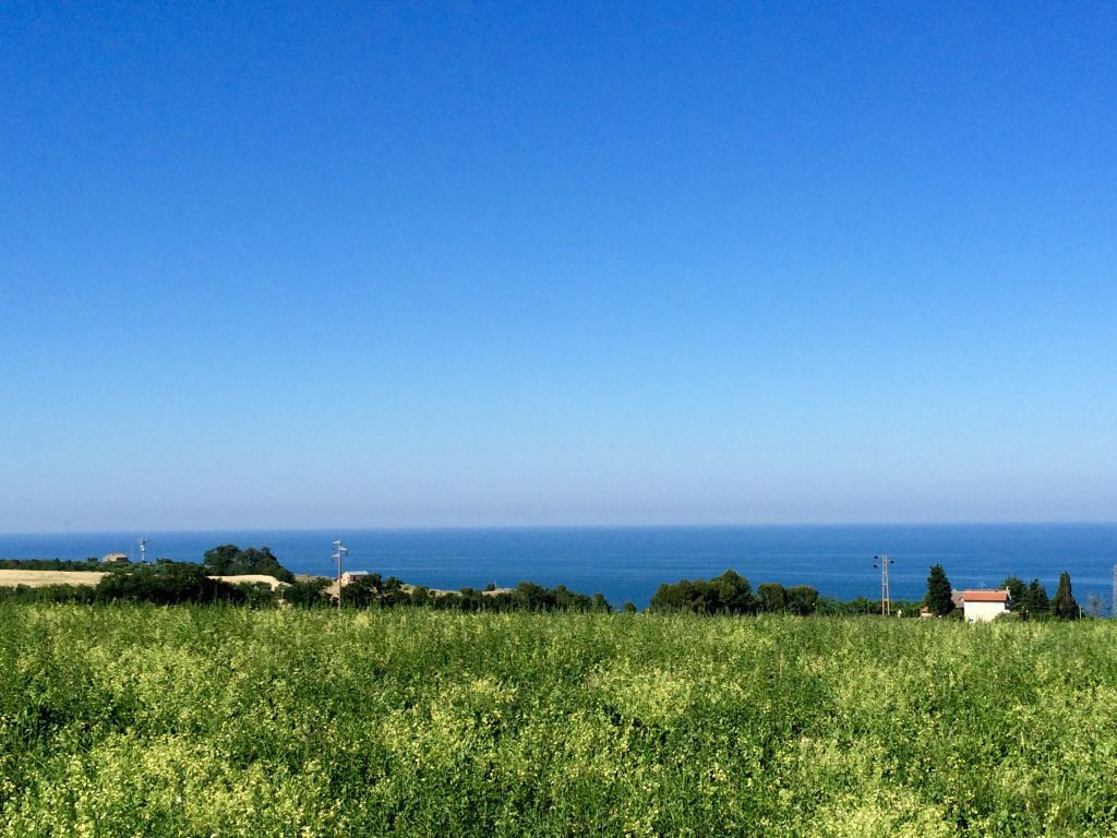 Rustici e Casali in vendita a Pedaso
