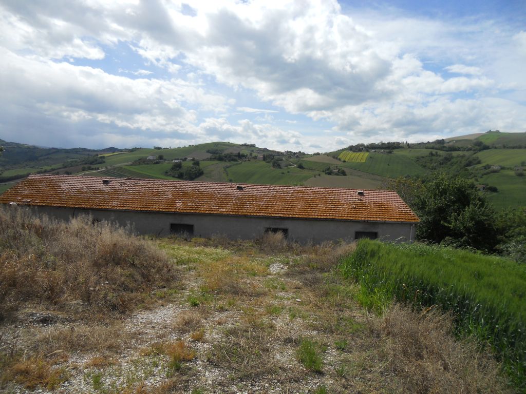 Rustici e Casali in vendita a Carassai
