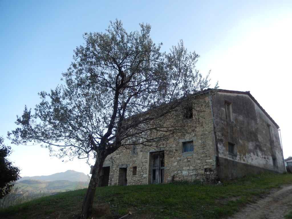 Rustici e Casali in vendita a Montelparo