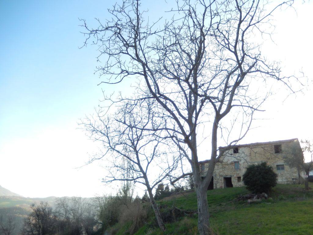 Rustici e Casali in vendita a Montelparo
