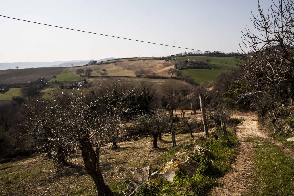 Rustici e Casali in vendita a Massignano