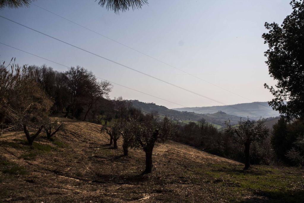 Rustici e Casali in vendita a Massignano