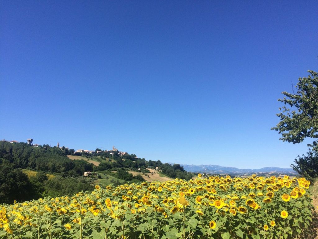 Rustici e Casali in vendita a Montelparo