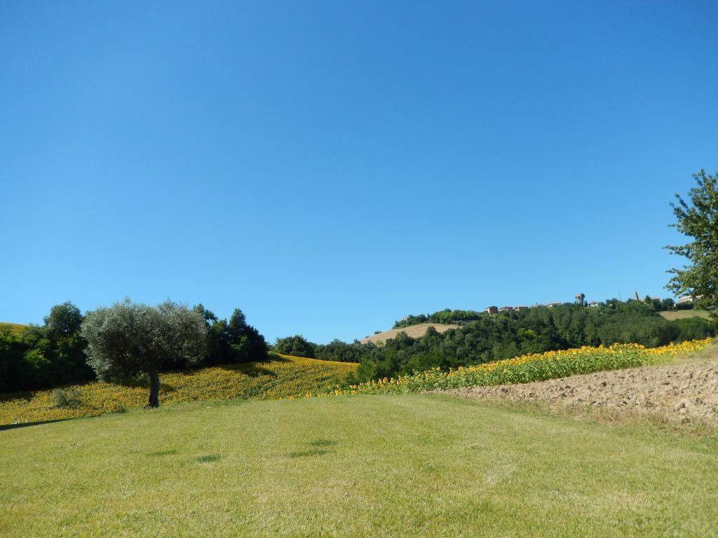 Rustici e Casali in vendita a Montelparo