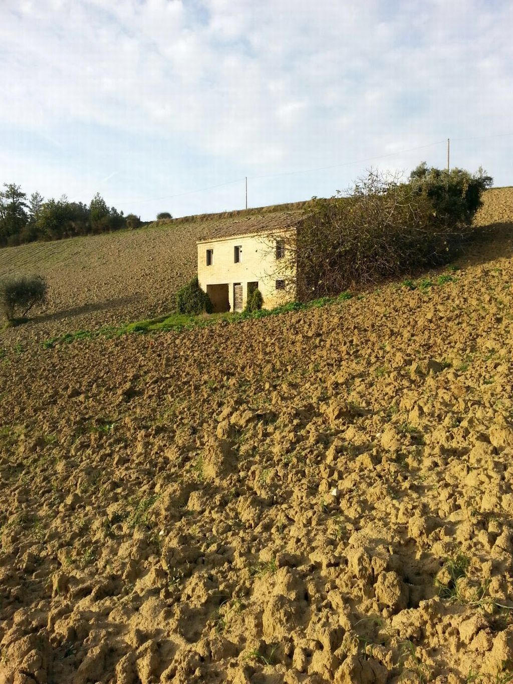 Rustici e Casali in vendita a Montelparo