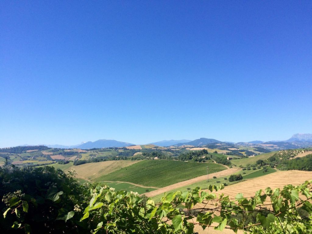 Rustici e Casali in vendita a Montelparo