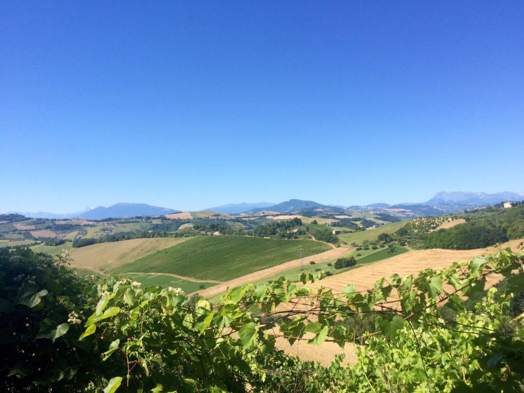 Rustici e Casali in vendita a Montelparo