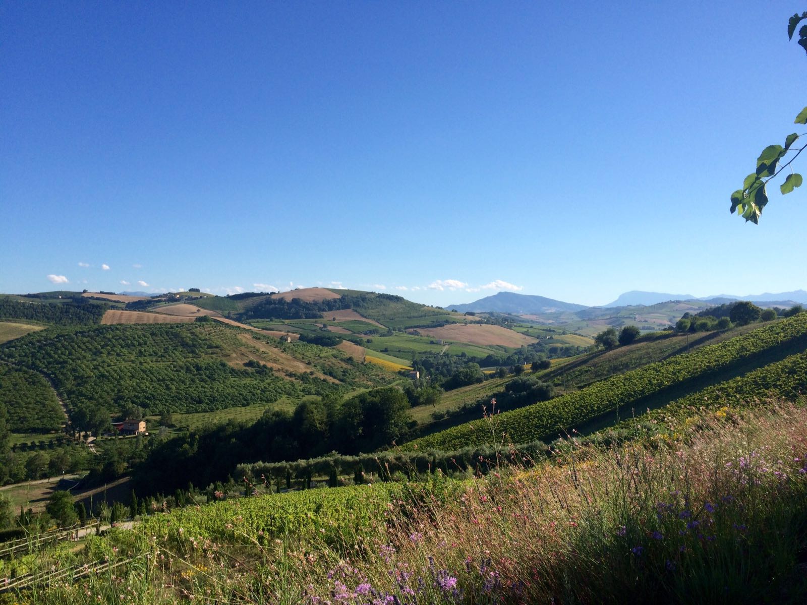Rustici e Casali in vendita a Montelparo