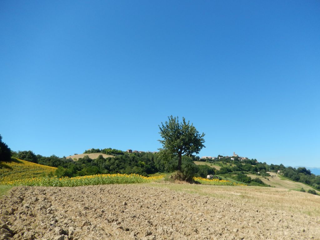 Rustici e Casali in vendita a Montelparo