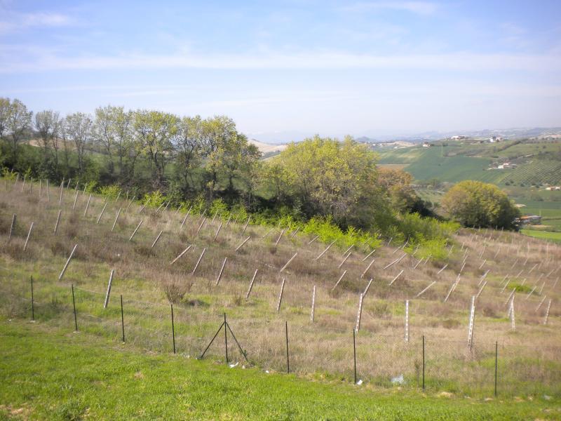 Rustici e Casali in vendita a Fermo