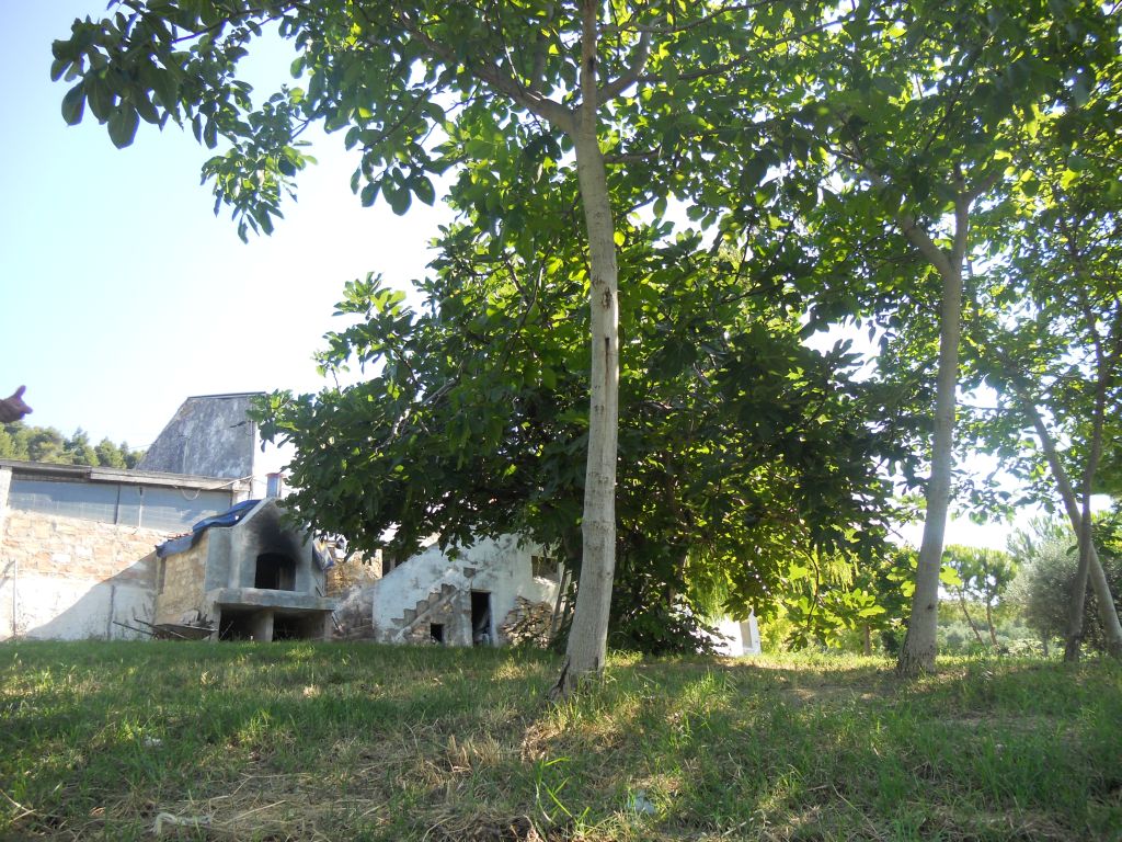 Rustici e Casali in vendita a Monteprandone