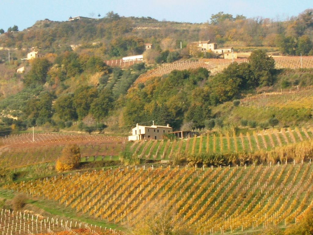 Rustici e Casali in vendita a Ripatransone