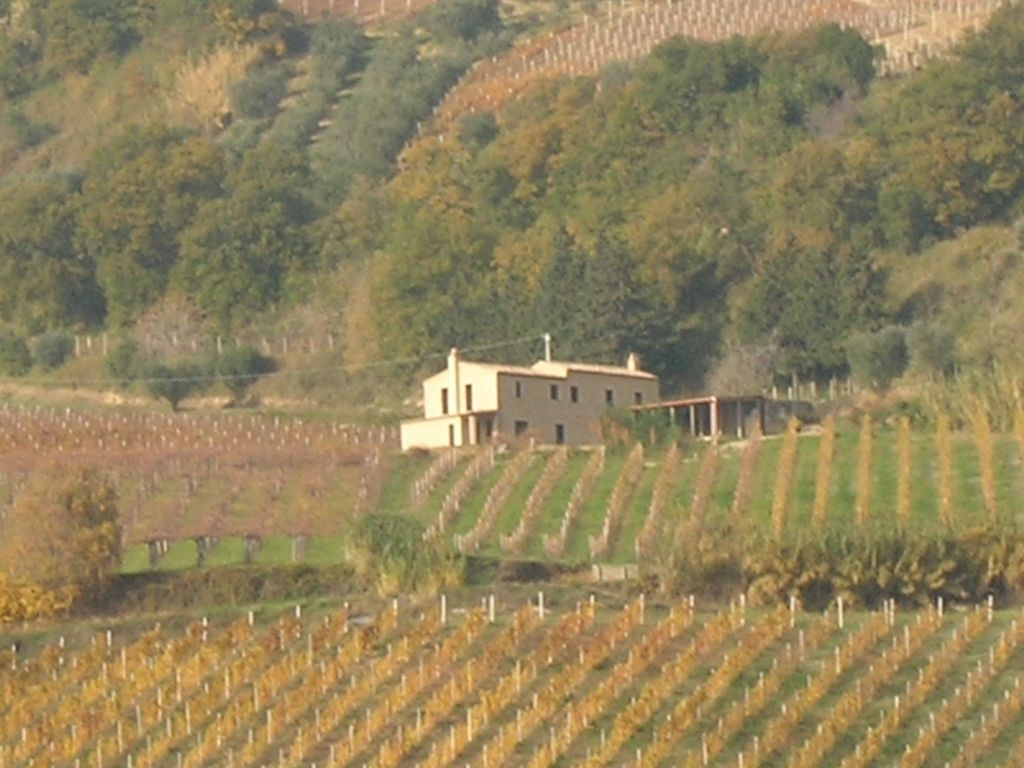 Rustici e Casali in vendita a Ripatransone