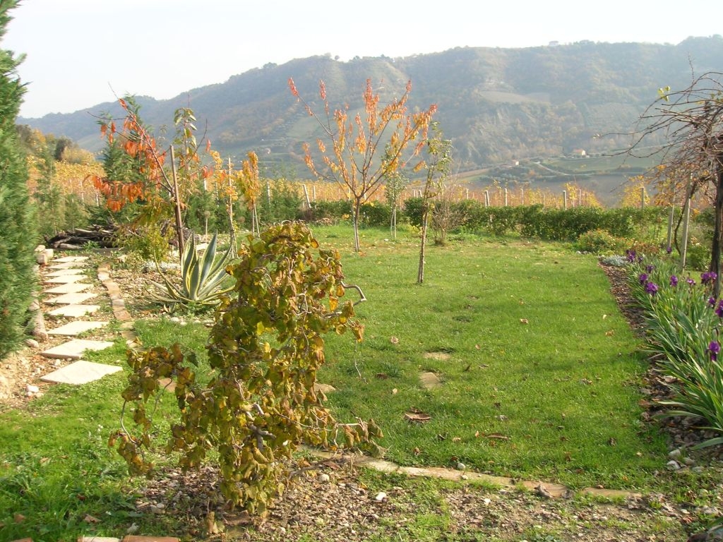 Rustici e Casali in vendita a Ripatransone