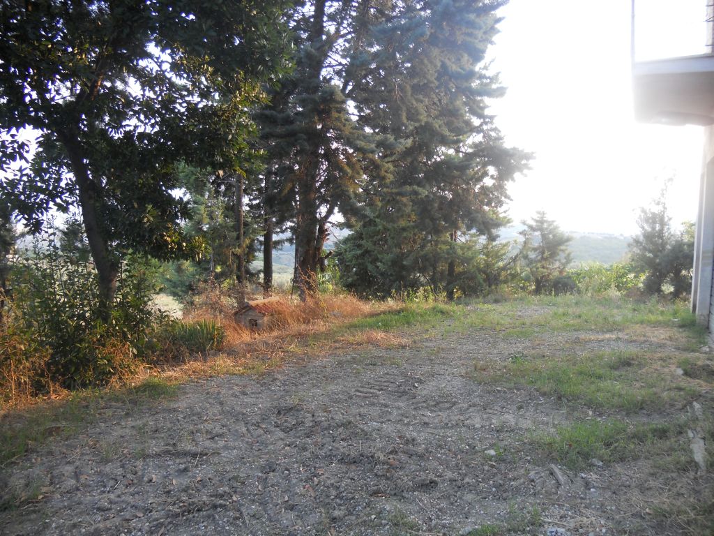 Rustici e Casali in vendita a Offida