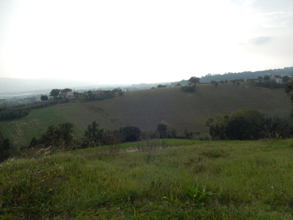 Case indipendenti in vendita a Monteprandone