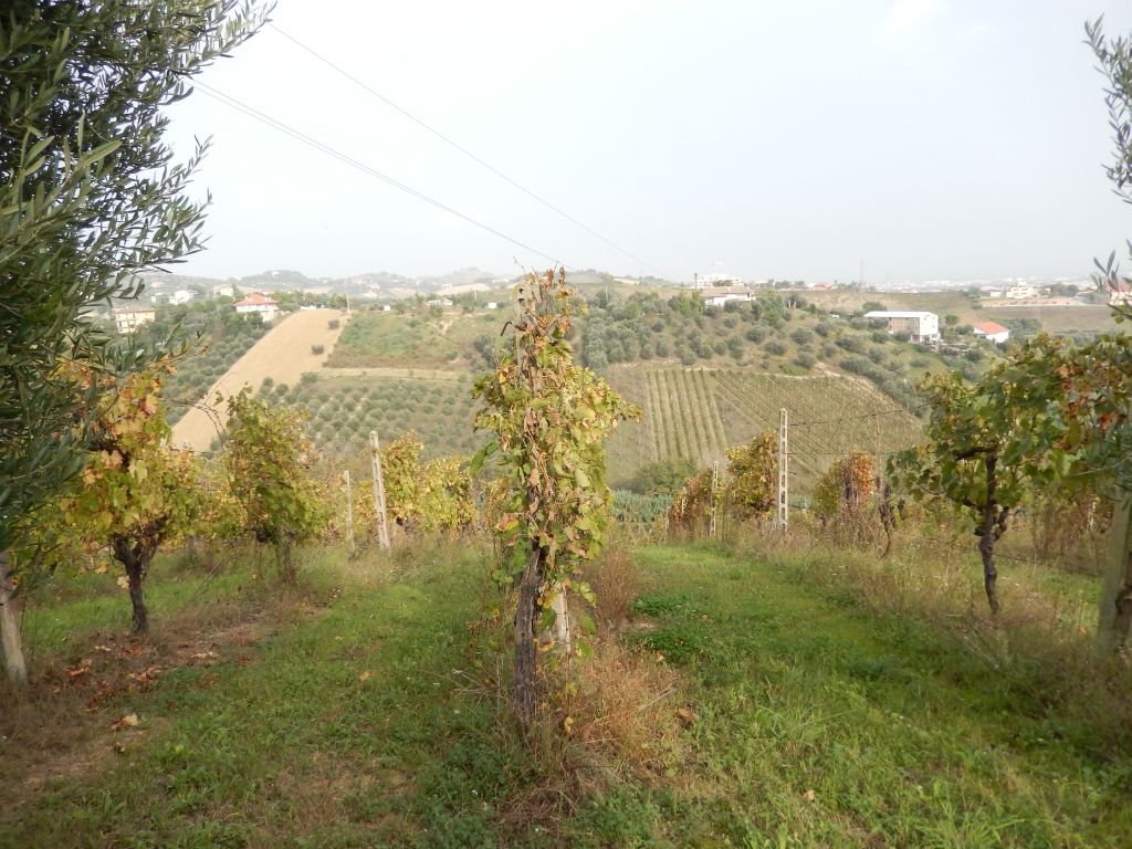 Case indipendenti in vendita a Monteprandone