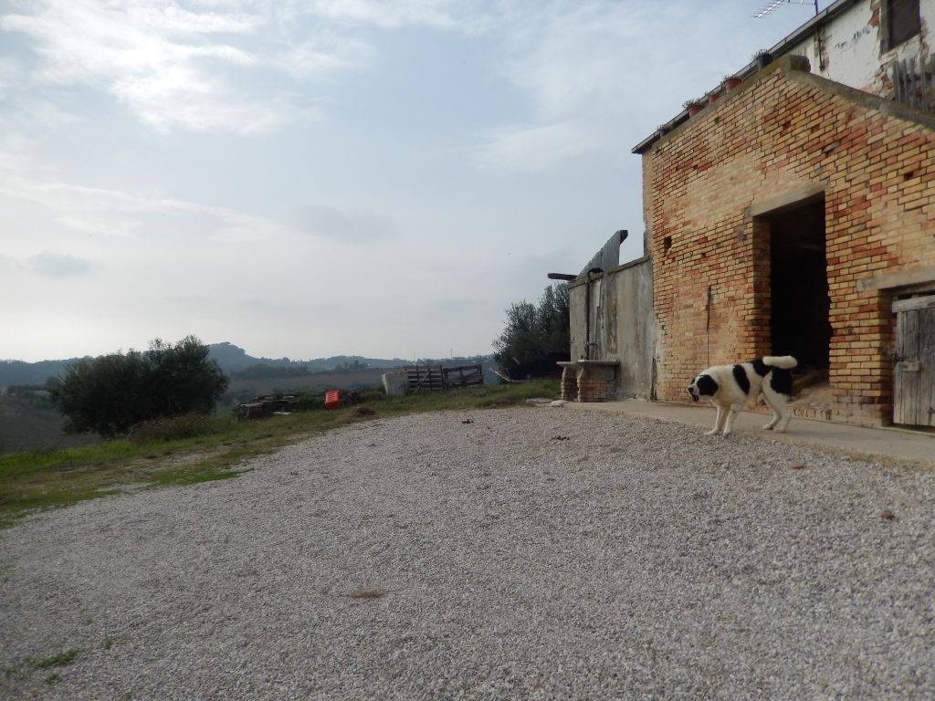 Case indipendenti in vendita a Monteprandone