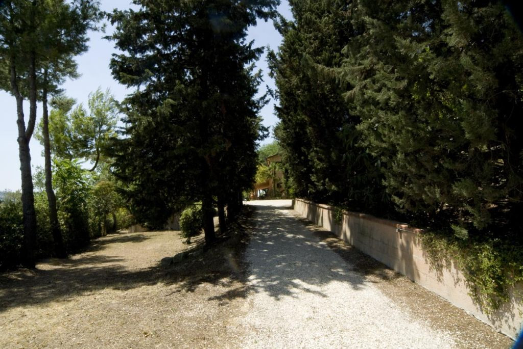 Rustici e Casali in affitto a Cossignano