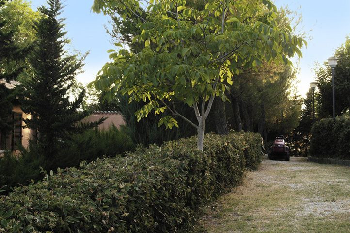 Rustici e Casali in affitto a Cossignano