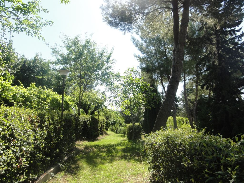 Rustici e Casali in affitto a Cossignano