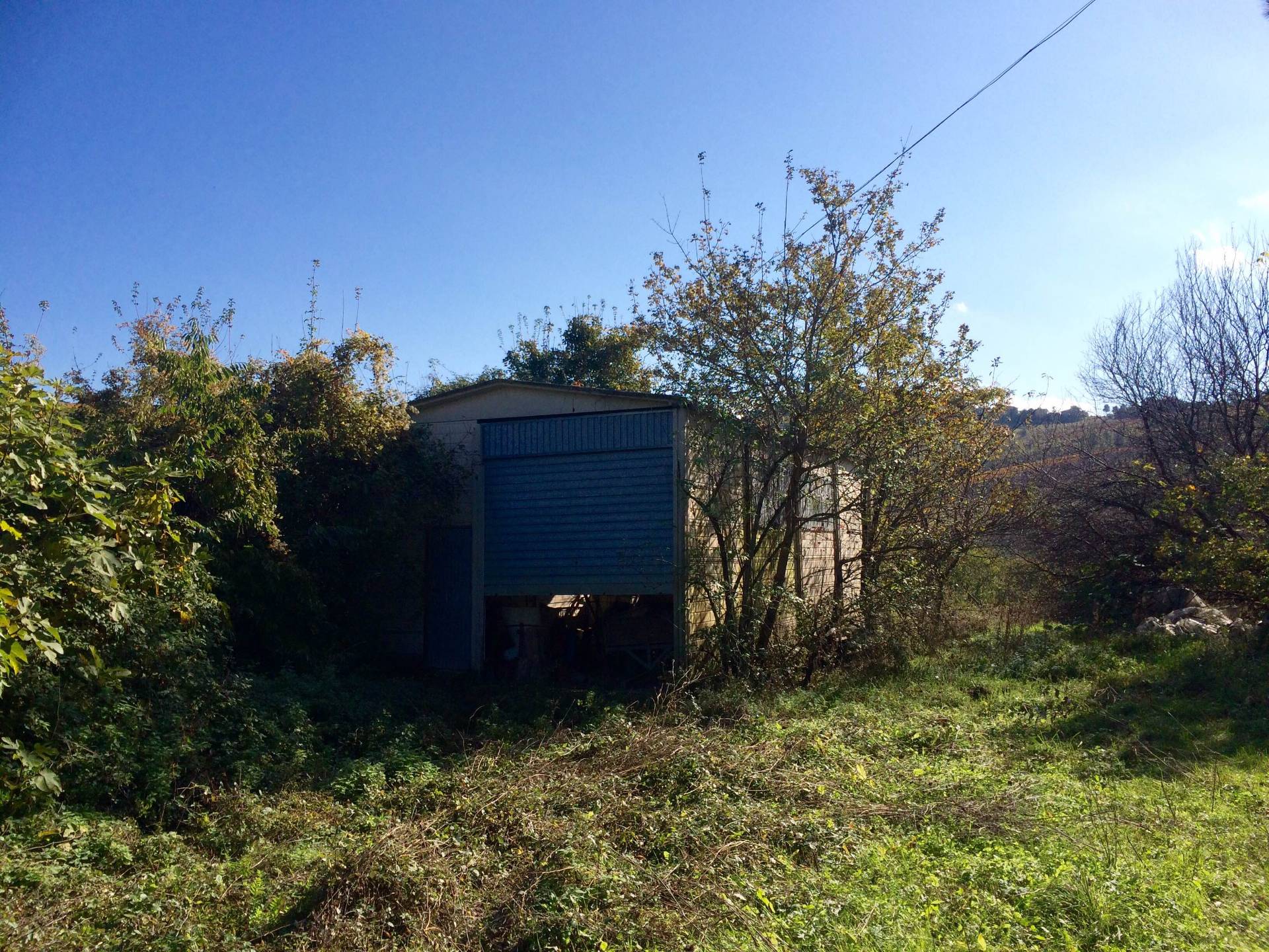 Rustici e Casali in vendita a Cossignano