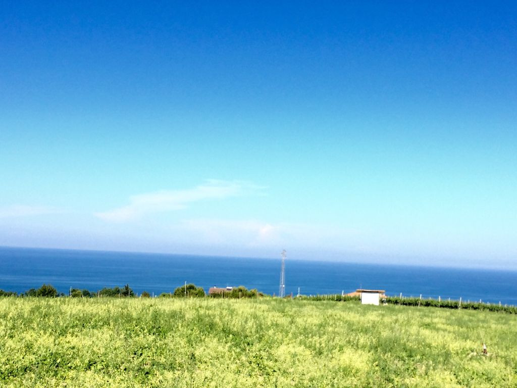 Ville di Prestigio in vendita a Pedaso