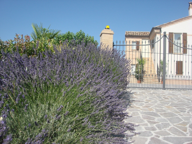 Rustici e Casali in affitto a Montefiore dell'Aso