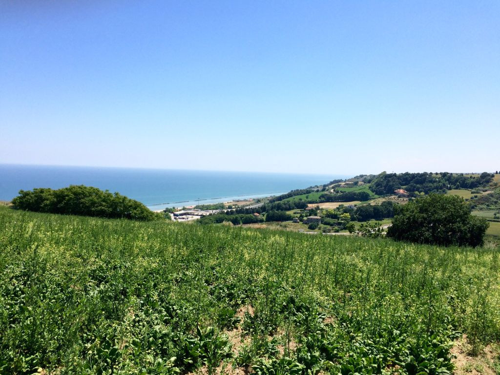 Rustici e Casali in vendita a Pedaso