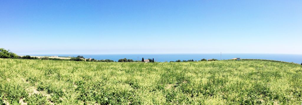 Rustici e Casali in vendita a Pedaso