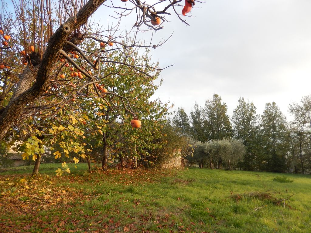 Case indipendenti in vendita a Castignano