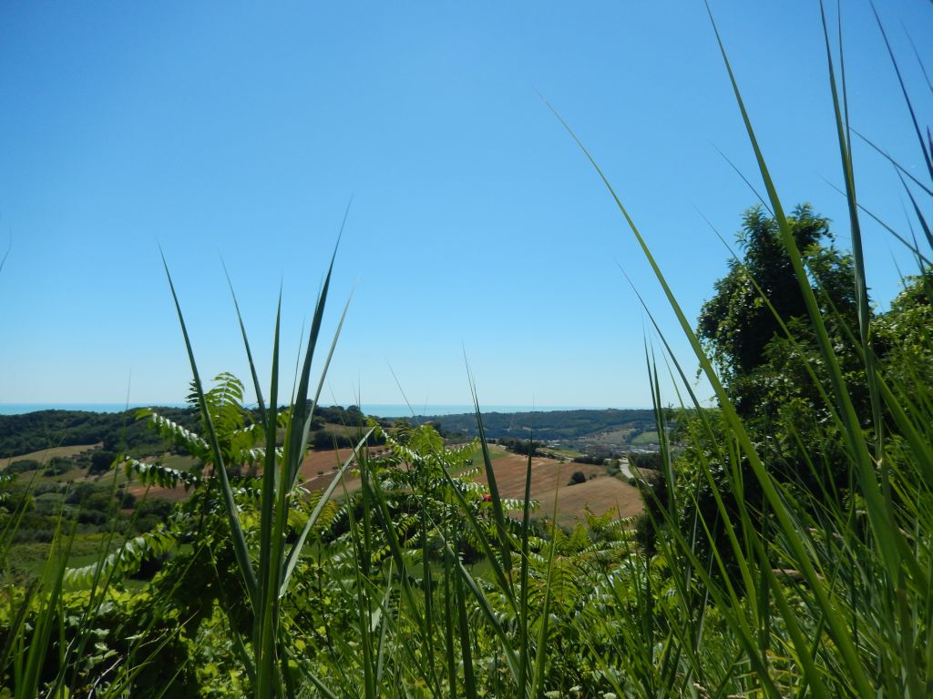 Rustici e Casali in vendita a Altidona