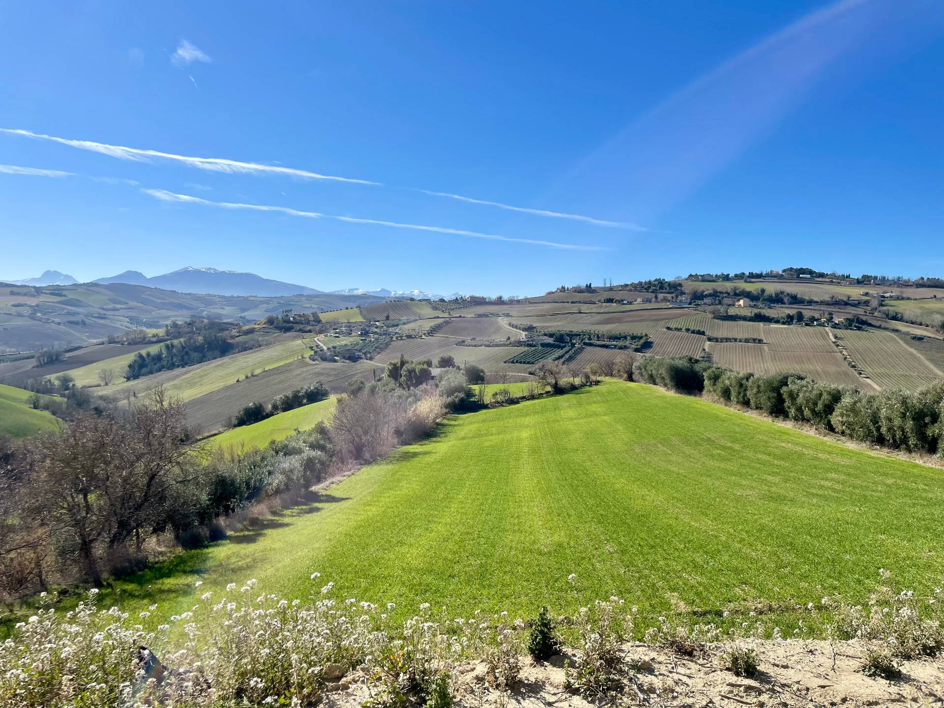 Rustici e Casali in vendita a Cossignano