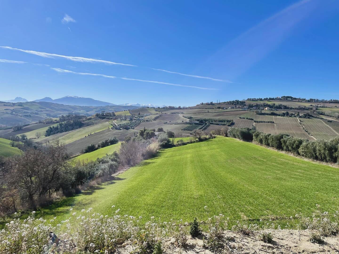 Rustici e Casali in vendita a Cossignano