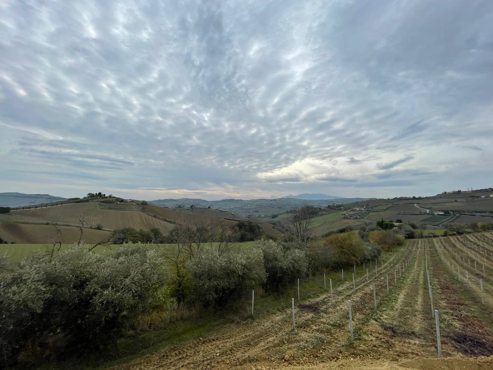 Rustici e Casali in vendita a Cossignano