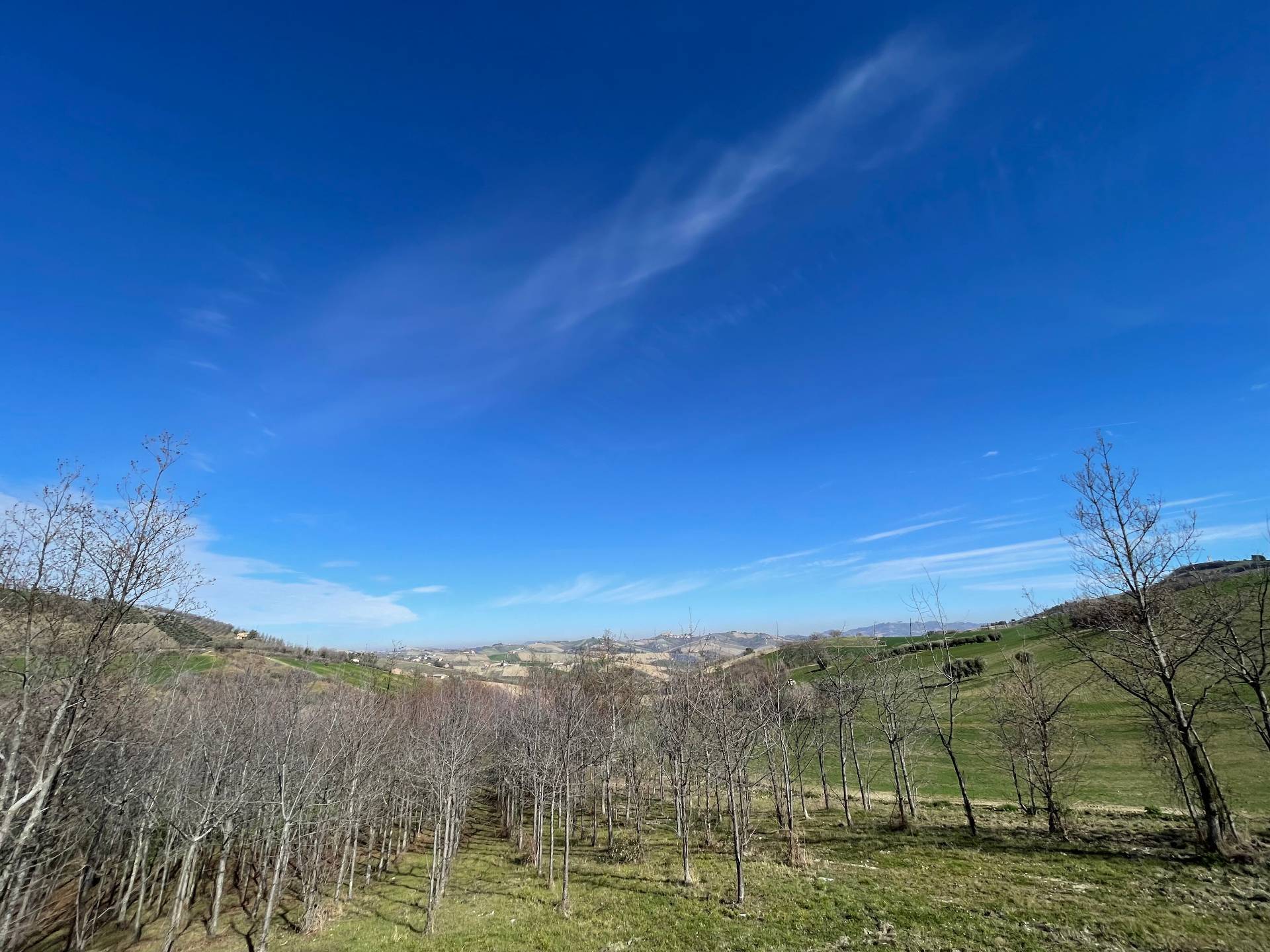 Rustici e Casali in vendita a Castignano