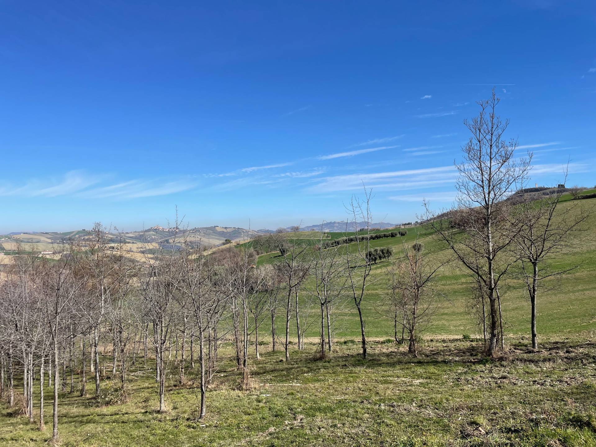 Rustici e Casali in vendita a Castignano