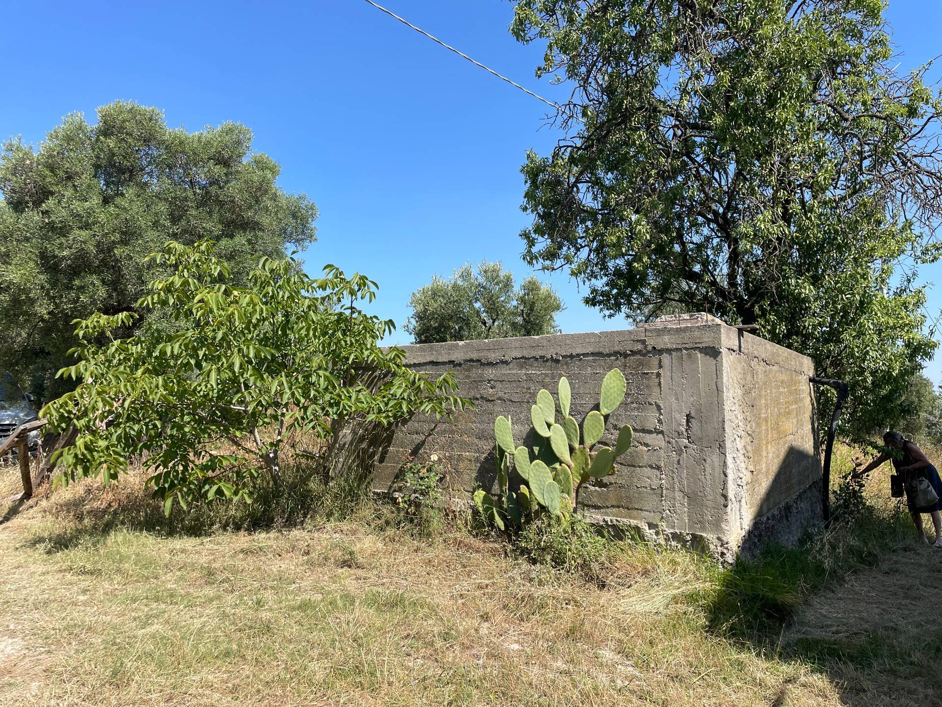 Rustici e Casali in vendita a Ripatransone