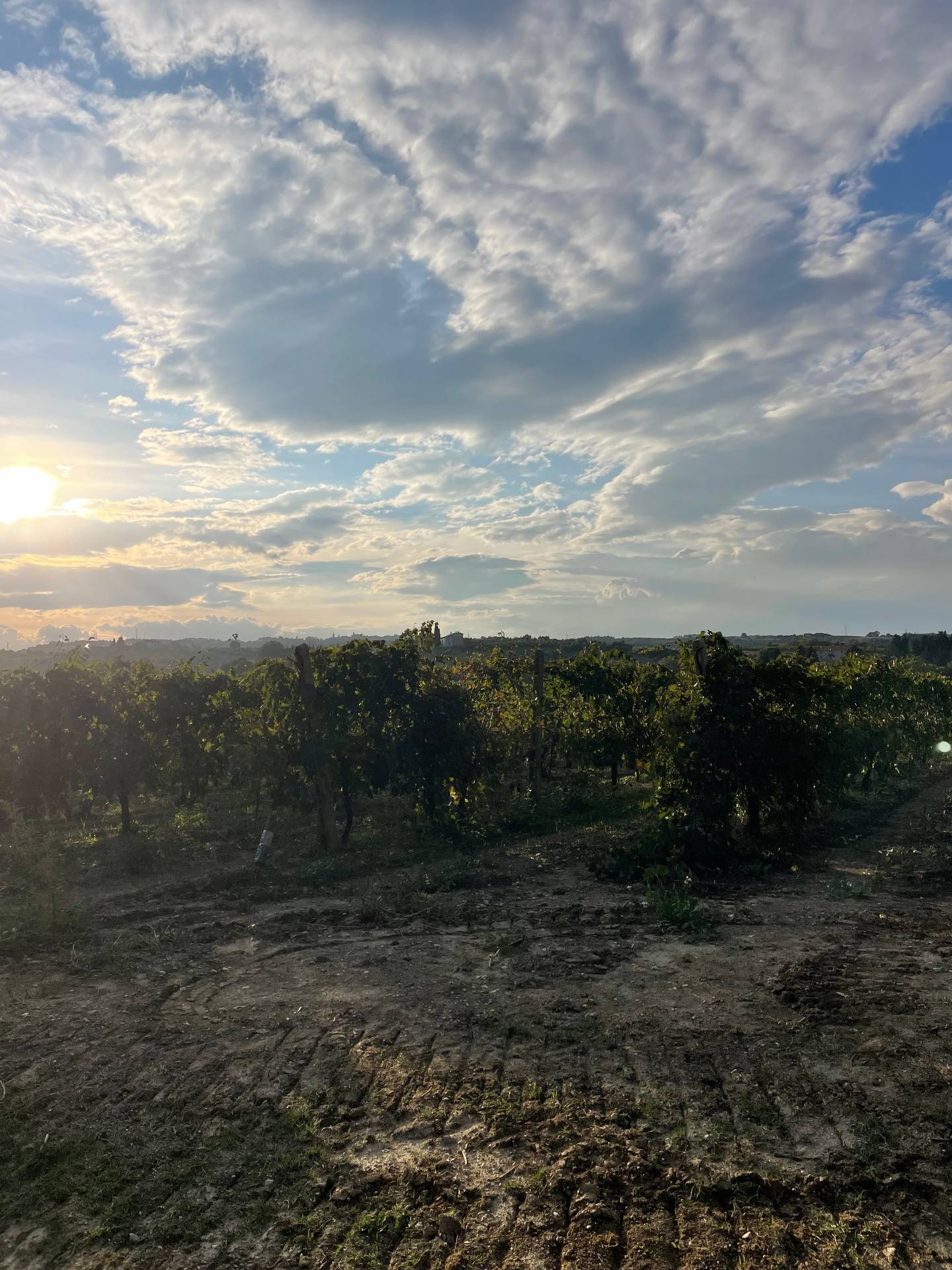 Rustici e Casali in vendita a Cupra Marittima