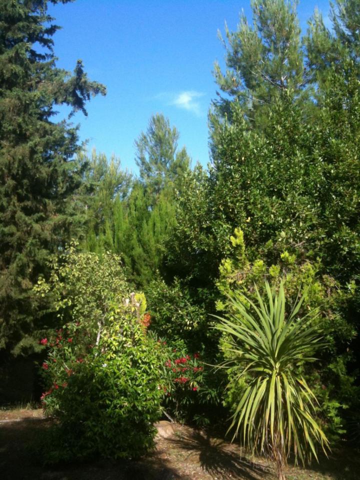 Rustici e Casali in vendita a Cossignano