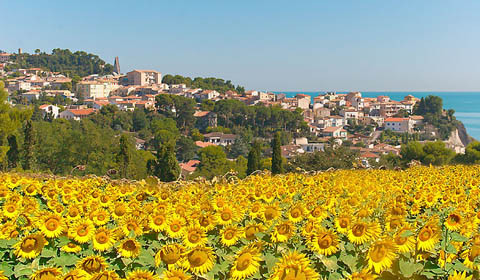 Case indipendenti in vendita a Recanati