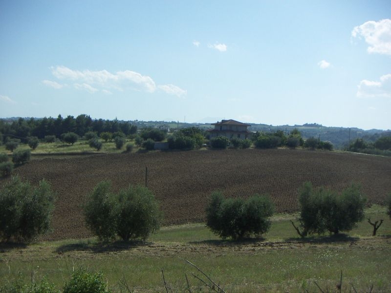 Case indipendenti in vendita a Cupra Marittima