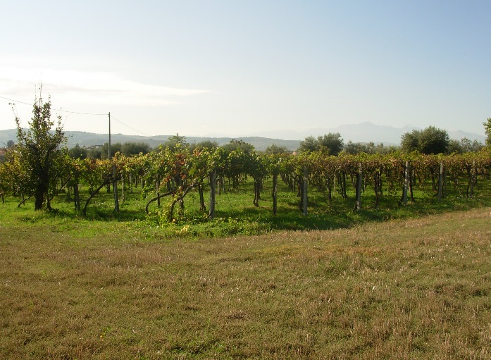 Rustici e Casali in vendita a Mosciano Sant'Angelo