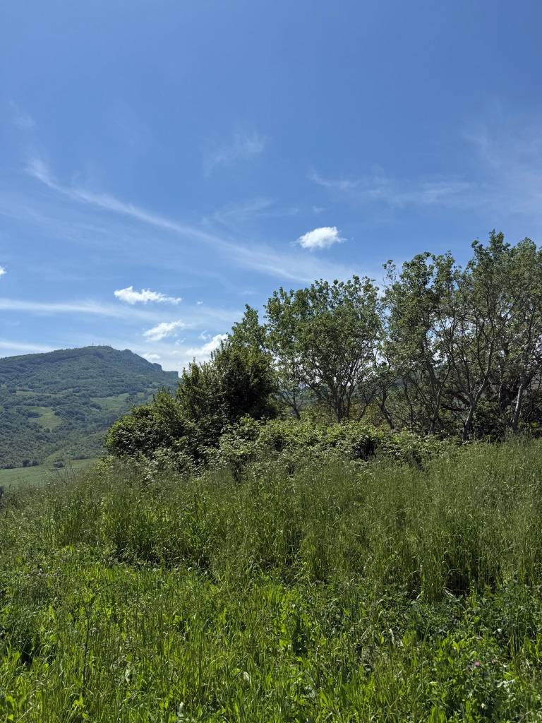 Rustici e Casali in vendita a Rotella, Poggio Canoso