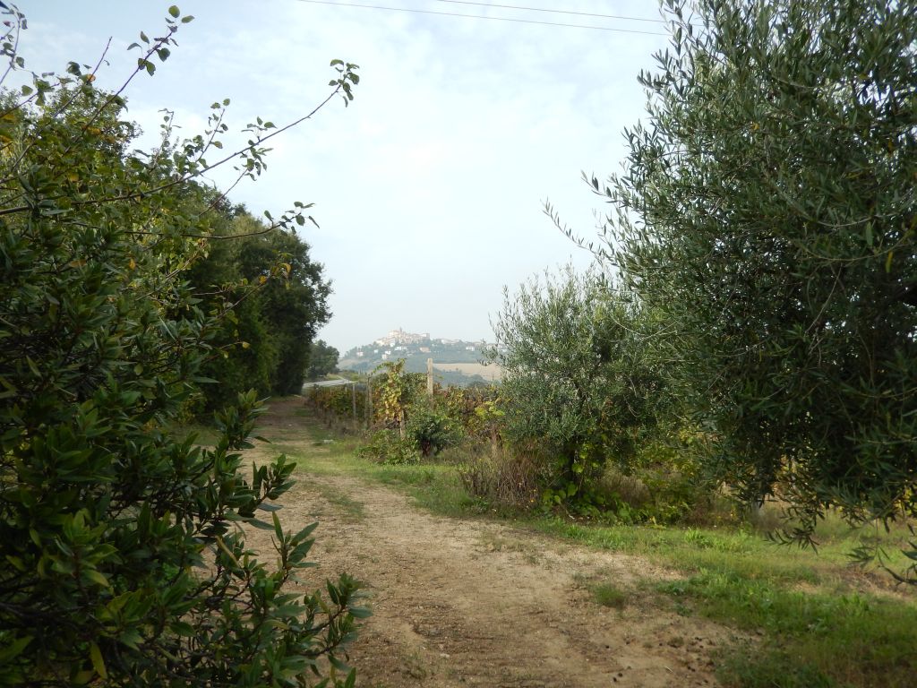 Terreno edificabile in vendita a Monteprandone
