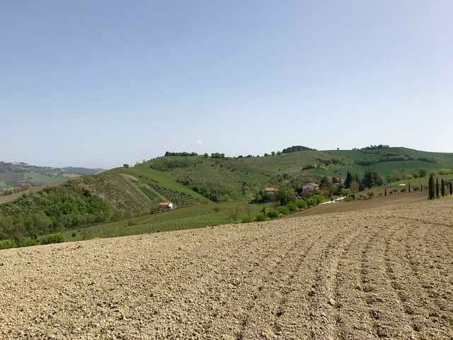 Rustici e Casali in vendita a Montalto delle Marche