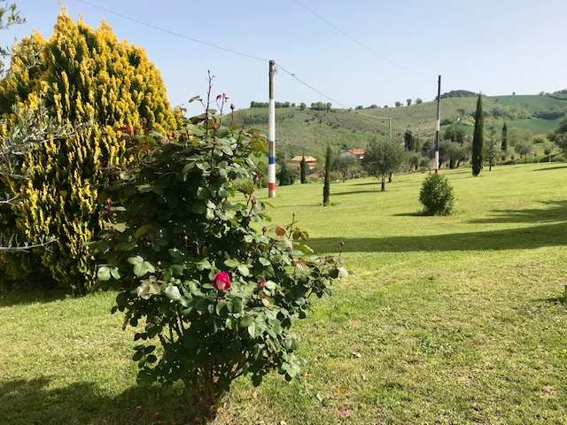 Rustici e Casali in vendita a Montalto delle Marche