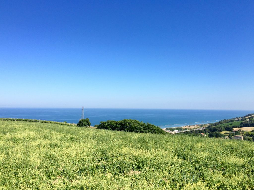 Ville di Prestigio in vendita a Pedaso