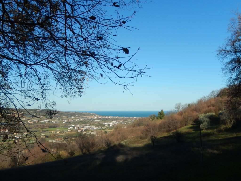 Rustici e Casali in vendita a Campofilone